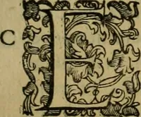 An illustration from Sacrorum elaeochrismaton myrothecium sacroprophanum : in quo ex antiquis Graecis at Latinis scriptoribus quidquid ad nomina, antiquitatem, vsum & abusum oleorum & vnguentorum ex sacris habetur litteris dilucidè explicatur (1625)
