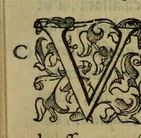 Picture 23 of 134 from Sacrorum elaeochrismaton myrothecium sacroprophanum : in quo ex antiquis Graecis at Latinis scriptoribus quidquid ad nomina, antiquitatem, vsum & abusum oleorum & vnguentorum ex sacris habetur litteris dilucidè explicatur (1625), leaf 180