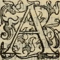 Picture 24 of 134 from Sacrorum elaeochrismaton myrothecium sacroprophanum : in quo ex antiquis Graecis at Latinis scriptoribus quidquid ad nomina, antiquitatem, vsum & abusum oleorum & vnguentorum ex sacris habetur litteris dilucidè explicatur (1625), leaf 187