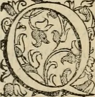 Picture 26 of 134 from Sacrorum elaeochrismaton myrothecium sacroprophanum : in quo ex antiquis Graecis at Latinis scriptoribus quidquid ad nomina, antiquitatem, vsum & abusum oleorum & vnguentorum ex sacris habetur litteris dilucidè explicatur (1625), leaf 207