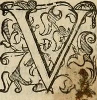 An illustration from Sacrorum elaeochrismaton myrothecium sacroprophanum : in quo ex antiquis Graecis at Latinis scriptoribus quidquid ad nomina, antiquitatem, vsum & abusum oleorum & vnguentorum ex sacris habetur litteris dilucidè explicatur (1625)