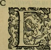 An illustration from Sacrorum elaeochrismaton myrothecium sacroprophanum : in quo ex antiquis Graecis at Latinis scriptoribus quidquid ad nomina, antiquitatem, vsum & abusum oleorum & vnguentorum ex sacris habetur litteris dilucidè explicatur (1625)