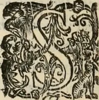 Picture 31 of 134 from Sacrorum elaeochrismaton myrothecium sacroprophanum : in quo ex antiquis Graecis at Latinis scriptoribus quidquid ad nomina, antiquitatem, vsum & abusum oleorum & vnguentorum ex sacris habetur litteris dilucidè explicatur (1625), leaf 253