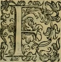 An illustration from Sacrorum elaeochrismaton myrothecium sacroprophanum : in quo ex antiquis Graecis at Latinis scriptoribus quidquid ad nomina, antiquitatem, vsum & abusum oleorum & vnguentorum ex sacris habetur litteris dilucidè explicatur (1625)