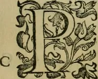 An illustration from Sacrorum elaeochrismaton myrothecium sacroprophanum : in quo ex antiquis Graecis at Latinis scriptoribus quidquid ad nomina, antiquitatem, vsum & abusum oleorum & vnguentorum ex sacris habetur litteris dilucidè explicatur (1625)