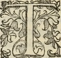 An illustration from Sacrorum elaeochrismaton myrothecium sacroprophanum : in quo ex antiquis Graecis at Latinis scriptoribus quidquid ad nomina, antiquitatem, vsum & abusum oleorum & vnguentorum ex sacris habetur litteris dilucidè explicatur (1625)