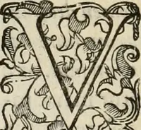 Picture 38 of 134 from Sacrorum elaeochrismaton myrothecium sacroprophanum : in quo ex antiquis Graecis at Latinis scriptoribus quidquid ad nomina, antiquitatem, vsum & abusum oleorum & vnguentorum ex sacris habetur litteris dilucidè explicatur (1625), leaf 327