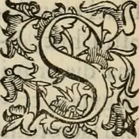 Picture 39 of 134 from Sacrorum elaeochrismaton myrothecium sacroprophanum : in quo ex antiquis Graecis at Latinis scriptoribus quidquid ad nomina, antiquitatem, vsum & abusum oleorum & vnguentorum ex sacris habetur litteris dilucidè explicatur (1625), leaf 337