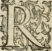 Picture 42 of 134 from Sacrorum elaeochrismaton myrothecium sacroprophanum : in quo ex antiquis Graecis at Latinis scriptoribus quidquid ad nomina, antiquitatem, vsum & abusum oleorum & vnguentorum ex sacris habetur litteris dilucidè explicatur (1625), leaf 351