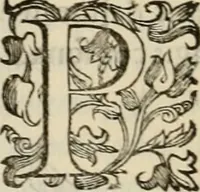Picture 48 of 134 from Sacrorum elaeochrismaton myrothecium sacroprophanum : in quo ex antiquis Graecis at Latinis scriptoribus quidquid ad nomina, antiquitatem, vsum & abusum oleorum & vnguentorum ex sacris habetur litteris dilucidè explicatur (1625), leaf 387