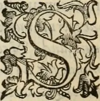 An illustration from Sacrorum elaeochrismaton myrothecium sacroprophanum : in quo ex antiquis Graecis at Latinis scriptoribus quidquid ad nomina, antiquitatem, vsum & abusum oleorum & vnguentorum ex sacris habetur litteris dilucidè explicatur (1625)