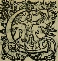 An illustration from Sacrorum elaeochrismaton myrothecium sacroprophanum : in quo ex antiquis Graecis at Latinis scriptoribus quidquid ad nomina, antiquitatem, vsum & abusum oleorum & vnguentorum ex sacris habetur litteris dilucidè explicatur (1625)