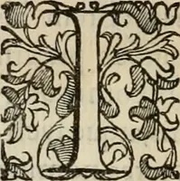 Picture 71 of 134 from Sacrorum elaeochrismaton myrothecium sacroprophanum : in quo ex antiquis Graecis at Latinis scriptoribus quidquid ad nomina, antiquitatem, vsum & abusum oleorum & vnguentorum ex sacris habetur litteris dilucidè explicatur (1625), leaf 485