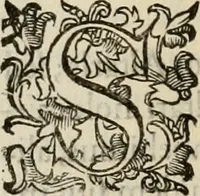 An illustration from Sacrorum elaeochrismaton myrothecium sacroprophanum : in quo ex antiquis Graecis at Latinis scriptoribus quidquid ad nomina, antiquitatem, vsum & abusum oleorum & vnguentorum ex sacris habetur litteris dilucidè explicatur (1625)