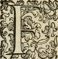 An illustration from Sacrorum elaeochrismaton myrothecium sacroprophanum : in quo ex antiquis Graecis at Latinis scriptoribus quidquid ad nomina, antiquitatem, vsum & abusum oleorum & vnguentorum ex sacris habetur litteris dilucidè explicatur (1625)