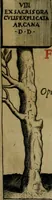 Picture 3 of 134 from Sacrorum elaeochrismaton myrothecium sacroprophanum : in quo ex antiquis Graecis at Latinis scriptoribus quidquid ad nomina, antiquitatem, vsum & abusum oleorum & vnguentorum ex sacris habetur litteris dilucidè explicatur (1625), leaf 6
