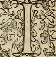 An illustration from Sacrorum elaeochrismaton myrothecium sacroprophanum : in quo ex antiquis Graecis at Latinis scriptoribus quidquid ad nomina, antiquitatem, vsum & abusum oleorum & vnguentorum ex sacris habetur litteris dilucidè explicatur (1625)