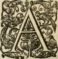 An illustration from Sacrorum elaeochrismaton myrothecium sacroprophanum : in quo ex antiquis Graecis at Latinis scriptoribus quidquid ad nomina, antiquitatem, vsum & abusum oleorum & vnguentorum ex sacris habetur litteris dilucidè explicatur (1625)