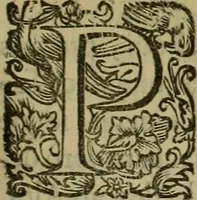 An illustration from Sacrorum elaeochrismaton myrothecium sacroprophanum : in quo ex antiquis Graecis at Latinis scriptoribus quidquid ad nomina, antiquitatem, vsum & abusum oleorum & vnguentorum ex sacris habetur litteris dilucidè explicatur (1625)