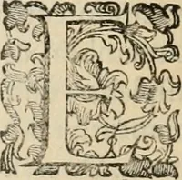An illustration from Sacrorum elaeochrismaton myrothecium sacroprophanum : in quo ex antiquis Graecis at Latinis scriptoribus quidquid ad nomina, antiquitatem, vsum & abusum oleorum & vnguentorum ex sacris habetur litteris dilucidè explicatur (1625)