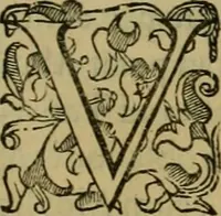 Picture 120 of 134 from Sacrorum elaeochrismaton myrothecium sacroprophanum : in quo ex antiquis Graecis at Latinis scriptoribus quidquid ad nomina, antiquitatem, vsum & abusum oleorum & vnguentorum ex sacris habetur litteris dilucidè explicatur (1625), leaf 764