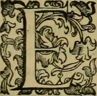 An illustration from Sacrorum elaeochrismaton myrothecium sacroprophanum : in quo ex antiquis Graecis at Latinis scriptoribus quidquid ad nomina, antiquitatem, vsum & abusum oleorum & vnguentorum ex sacris habetur litteris dilucidè explicatur (1625)