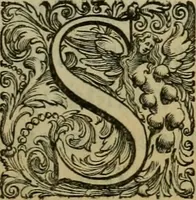 An illustration from Sacrorum elaeochrismaton myrothecium sacroprophanum : in quo ex antiquis Graecis at Latinis scriptoribus quidquid ad nomina, antiquitatem, vsum & abusum oleorum & vnguentorum ex sacris habetur litteris dilucidè explicatur (1625)