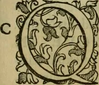An illustration from Sacrorum elaeochrismaton myrothecium sacroprophanum : in quo ex antiquis Graecis at Latinis scriptoribus quidquid ad nomina, antiquitatem, vsum & abusum oleorum & vnguentorum ex sacris habetur litteris dilucidè explicatur (1625)