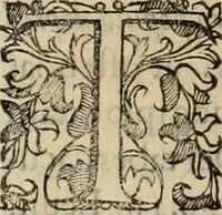 An illustration from Sacrorum elaeochrismaton myrothecium sacroprophanum : in quo ex antiquis Graecis at Latinis scriptoribus quidquid ad nomina, antiquitatem, vsum & abusum oleorum & vnguentorum ex sacris habetur litteris dilucidè explicatur (1625)