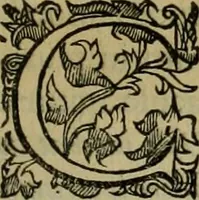 An illustration from Sacrorum elaeochrismaton myrothecium sacroprophanum : in quo ex antiquis Graecis at Latinis scriptoribus quidquid ad nomina, antiquitatem, vsum & abusum oleorum & vnguentorum ex sacris habetur litteris dilucidè explicatur (1625)