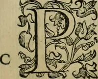 An illustration from Sacrorum elaeochrismaton myrothecium sacroprophanum : in quo ex antiquis Graecis at Latinis scriptoribus quidquid ad nomina, antiquitatem, vsum & abusum oleorum & vnguentorum ex sacris habetur litteris dilucidè explicatur (1625)