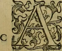 An illustration from Sacrorum elaeochrismaton myrothecium sacroprophanum : in quo ex antiquis Graecis at Latinis scriptoribus quidquid ad nomina, antiquitatem, vsum & abusum oleorum & vnguentorum ex sacris habetur litteris dilucidè explicatur (1625)