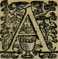 An illustration from Sacrorum elaeochrismaton myrothecium sacroprophanum : in quo ex antiquis Graecis at Latinis scriptoribus quidquid ad nomina, antiquitatem, vsum & abusum oleorum & vnguentorum ex sacris habetur litteris dilucidè explicatur (1625)