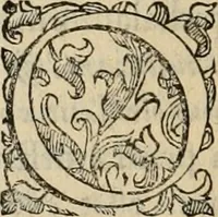 An illustration from Sacrorum elaeochrismaton myrothecium sacroprophanum : in quo ex antiquis Graecis at Latinis scriptoribus quidquid ad nomina, antiquitatem, vsum & abusum oleorum & vnguentorum ex sacris habetur litteris dilucidè explicatur (1625)