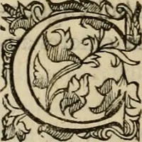 Picture 48 of 80 from Sacrorum elaeochrismaton myrothecium sacroprophanum : in quo ex antiquis Graecis at Latinis scriptoribus quidquid ad nomina, antiquitatem, vsum & abusum oleorum & vnguentorum ex sacris habetur litteris dilucidè explicatur (1625), leaf 295