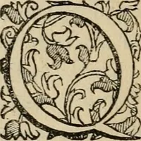 Picture 58 of 80 from Sacrorum elaeochrismaton myrothecium sacroprophanum : in quo ex antiquis Graecis at Latinis scriptoribus quidquid ad nomina, antiquitatem, vsum & abusum oleorum & vnguentorum ex sacris habetur litteris dilucidè explicatur (1625), leaf 381