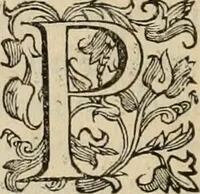 An illustration from Sacrorum elaeochrismaton myrothecium sacroprophanum : in quo ex antiquis Graecis at Latinis scriptoribus quidquid ad nomina, antiquitatem, vsum & abusum oleorum & vnguentorum ex sacris habetur litteris dilucidè explicatur (1625)