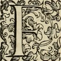 An illustration from Sacrorum elaeochrismaton myrothecium sacroprophanum : in quo ex antiquis Graecis at Latinis scriptoribus quidquid ad nomina, antiquitatem, vsum & abusum oleorum & vnguentorum ex sacris habetur litteris dilucidè explicatur (1625)