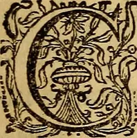 An illustration from Sacrum Oratorium piarum imaginum Immaculatae Mariae et animae creatae ac baptismo, poenitentia, et eucharistia innouatae : ars noua bene viuendi et moriendi, sacris piarum imaginum emblematis figurata & illustrata (1634)