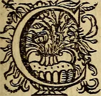 An illustration from Sacrum Oratorium piarum imaginum Immaculatae Mariae et animae creatae ac baptismo, poenitentia, et eucharistia innouatae : ars noua bene viuendi et moriendi, sacris piarum imaginum emblematis figurata & illustrata (1634)