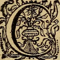 Picture 16 of 138 from Sacrum Oratorium piarum imaginum Immaculatae Mariae et animae creatae ac baptismo, poenitentia, et eucharistia innouatae : ars noua bene viuendi et moriendi, sacris piarum imaginum emblematis figurata & illustrata (1634), leaf 36