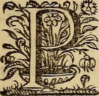 An illustration from Sacrum Oratorium piarum imaginum Immaculatae Mariae et animae creatae ac baptismo, poenitentia, et eucharistia innouatae : ars noua bene viuendi et moriendi, sacris piarum imaginum emblematis figurata & illustrata (1634)