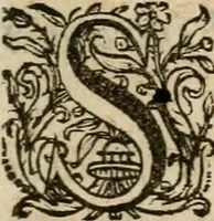 Picture 4 of 120 from Sacrvm oratorivm piarvm imaginvm immacvlatae Mariae et animae creatae : ac baptismo, poenitentia, et evcharistia innovatae : ars nova bene vivendi et moriende, sacris piarum imaginum emblematis figurata & illustrata (1634), leaf 20