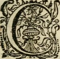 Picture 12 of 120 from Sacrvm oratorivm piarvm imaginvm immacvlatae Mariae et animae creatae : ac baptismo, poenitentia, et evcharistia innovatae : ars nova bene vivendi et moriende, sacris piarum imaginum emblematis figurata & illustrata (1634), leaf 38