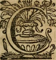 An illustration from Sacrvm oratorivm piarvm imaginvm immacvlatae Mariae et animae creatae : ac baptismo, poenitentia, et evcharistia innovatae : ars nova bene vivendi et moriende, sacris piarum imaginum emblematis figurata & illustrata (1634)