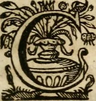 Picture 93 of 120 from Sacrvm oratorivm piarvm imaginvm immacvlatae Mariae et animae creatae : ac baptismo, poenitentia, et evcharistia innovatae : ars nova bene vivendi et moriende, sacris piarum imaginum emblematis figurata & illustrata (1634), leaf 626
