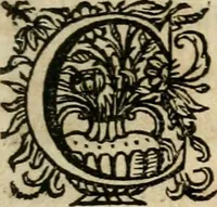 An illustration from Sacrvm oratorivm piarvm imaginvm immacvlatae Mariae et animae creatae : ac baptismo, poenitentia, et evcharistia innovatae : ars nova bene vivendi et moriende, sacris piarum imaginum emblematis figurata & illustrata (1634)