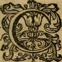 An illustration from Sacrvm oratorivm piarvm imaginvm immacvlatae Mariae et animae creatae : ac baptismo, poenitentia, et evcharistia innovatae : ars nova bene vivendi et moriende, sacris piarum imaginum emblematis figurata & illustrata (1634)