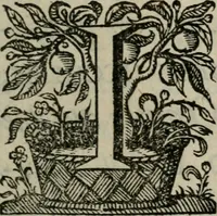 Picture 3 of 43 from Sacrvm sanctvarivm crvcis et patientiae crvcifixorvm et crvciferorvm, emblematicis imaginibvs laborantivm et aegrotantivm ornatvm: artifices gloriosi novae artis bene vivendi et moriendi (1634), leaf 10