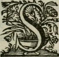 An illustration from Sacrvm sanctvarivm crvcis et patientiae crvcifixorvm et crvciferorvm, emblematicis imaginibvs laborantivm et aegrotantivm ornatvm: artifices gloriosi novae artis bene vivendi et moriendi (1634)